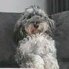 Denis Popa - @denis.popa04 - TikTok