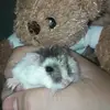 Denis Popa - @denis.popa433 - TikTok