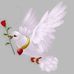 Denis Portillo - Facebook