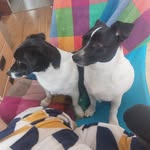 Denise Quinlan - @denisequinlan15 - Instagram