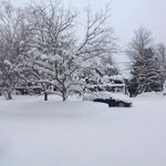 Denis Rivard - @drivard51 - Instagram