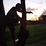 Denis Roque - @denisroque3274 - Instagram