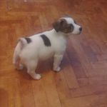 @rozonovdenis - Instagram