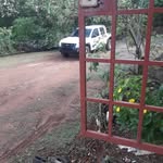 denis serrano - @denisserrano4 - Instagram