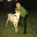 Denis Sheahan - @denissheahan2 - Instagram