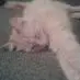 simko_denis - @simko_denis - TikTok