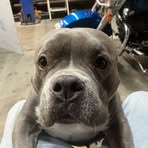 Dennis Simons - Facebook