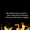 Deniss Sinani - @denisssinani - TikTok
