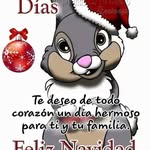 Denis Solano - @denis.solano.73594 - Instagram