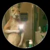 Alondra - @denis.solis6 - TikTok