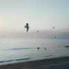 denisst - @denisstiaa - TikTok