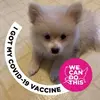 denisestantonzobe - @denisestantonzobe - TikTok