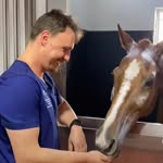 Denis Steiner - @denis_steiner_vet - Instagram