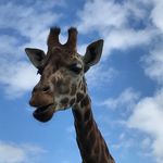 Denis Tanner - @denistanner2872 - Instagram