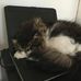 Denis Thibault - Facebook