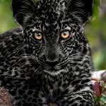 Denis Thibault - @denis.thibault.3760 - Instagram