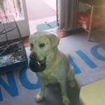 Denis Todd - @denis.todd.583 - Instagram