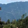 Denis Tomas - @denis.tomas48 - TikTok