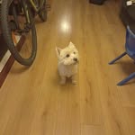 Denise Sutton - @denisetreacy125 - Instagram