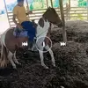 Denis Ulloa - @denis.ulloa71 - TikTok