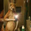 Dennis Ulloa - @dennis.ulloa8 - TikTok