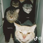 @denis.ushakov.1899 - Instagram