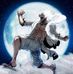 Dennis Ward - Facebook