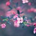Denis West - Facebook
