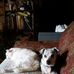 Denise West - Facebook