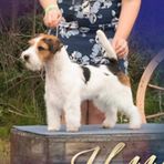 Denise Adrian-Cavers - Facebook