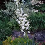Denise Allan - @denise.allan.581 - Instagram