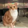 Denise Allan - @denise.allan0 - TikTok