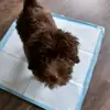 deniseallan67 - @deniseallan67 - TikTok