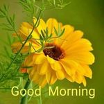 Denise Alston - @oretis711 - Instagram