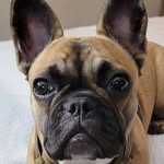 Denise Armbruster - @denise.armbruster.33 - Instagram