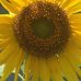 Denise Marie Armbruster-marceau - Facebook