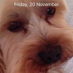 Denise Arnold - @denisearnold203 - Instagram