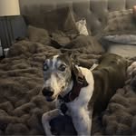 Denise Avery-Bennett - @deniseavery - Instagram