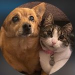 Denise Bacon Cohen - @cohendenisebacon - Instagram