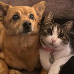Denise Bacon Cohen - @denisebaconcohen - Instagram
