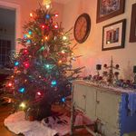 Denise MacKnight Bacon - @baconrn - Instagram