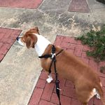 Denise Barbee - @barbee6205 - Instagram