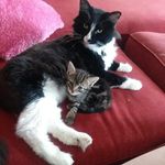 Denise Barbee - @savannahsmommy2005 - Instagram