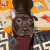 Denise_bln❤️ - @denise.barbieri6 - TikTok