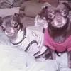 denisebarberis2 - @denisebarberis2 - TikTok