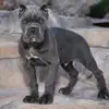 BBX Den - @denise.barker2 - TikTok