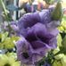 Denise Barker - Facebook