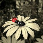Denise Barlow - @azsoul - Instagram