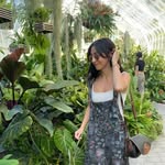 Denise Barron - @denicebarron - Instagram