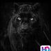 Denise Bartlett - Facebook